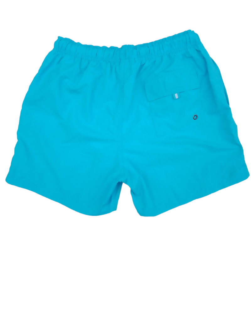 Electric blue mens swim shorts rear